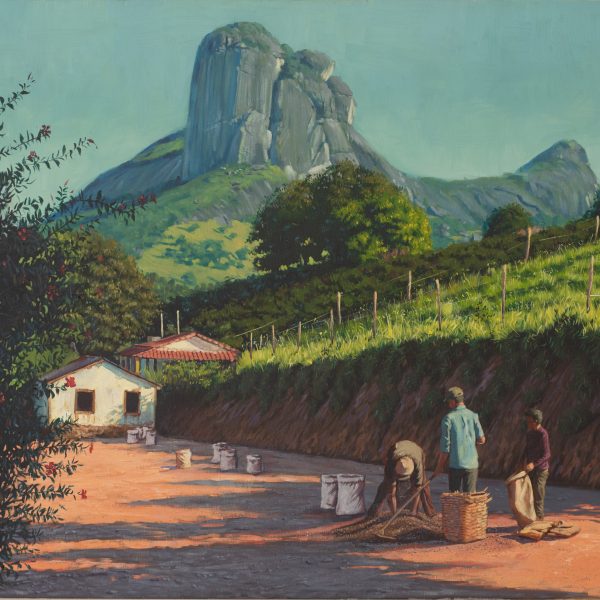 _P4A8128 - Copia